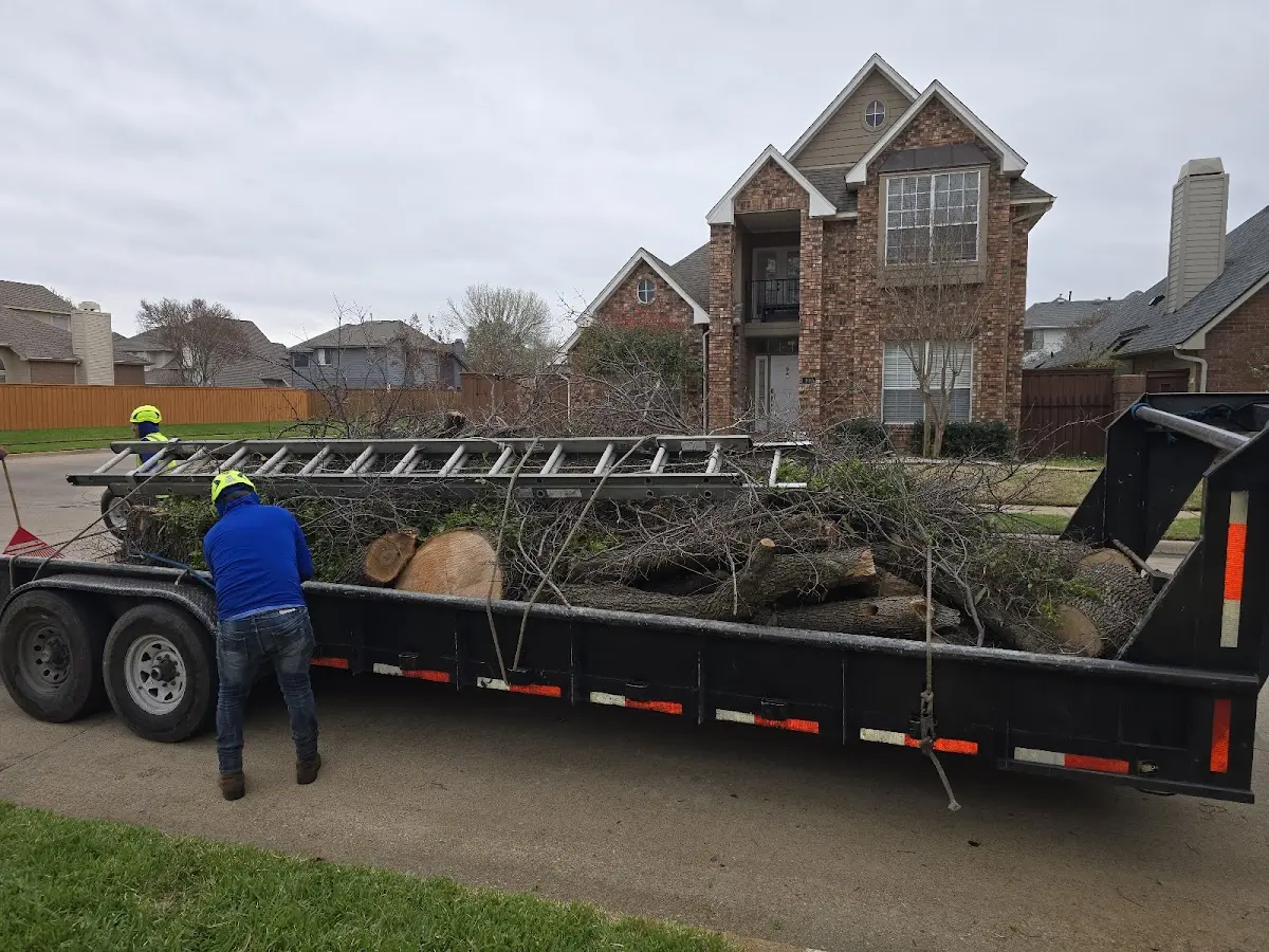 Expert Tree Pest Control with proper safety equipment in Hydes